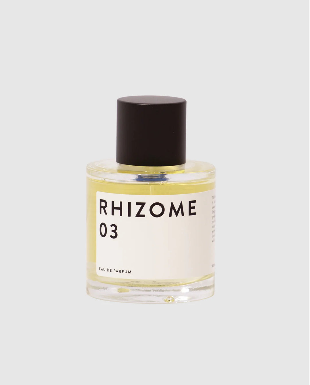 RHIZOME 03