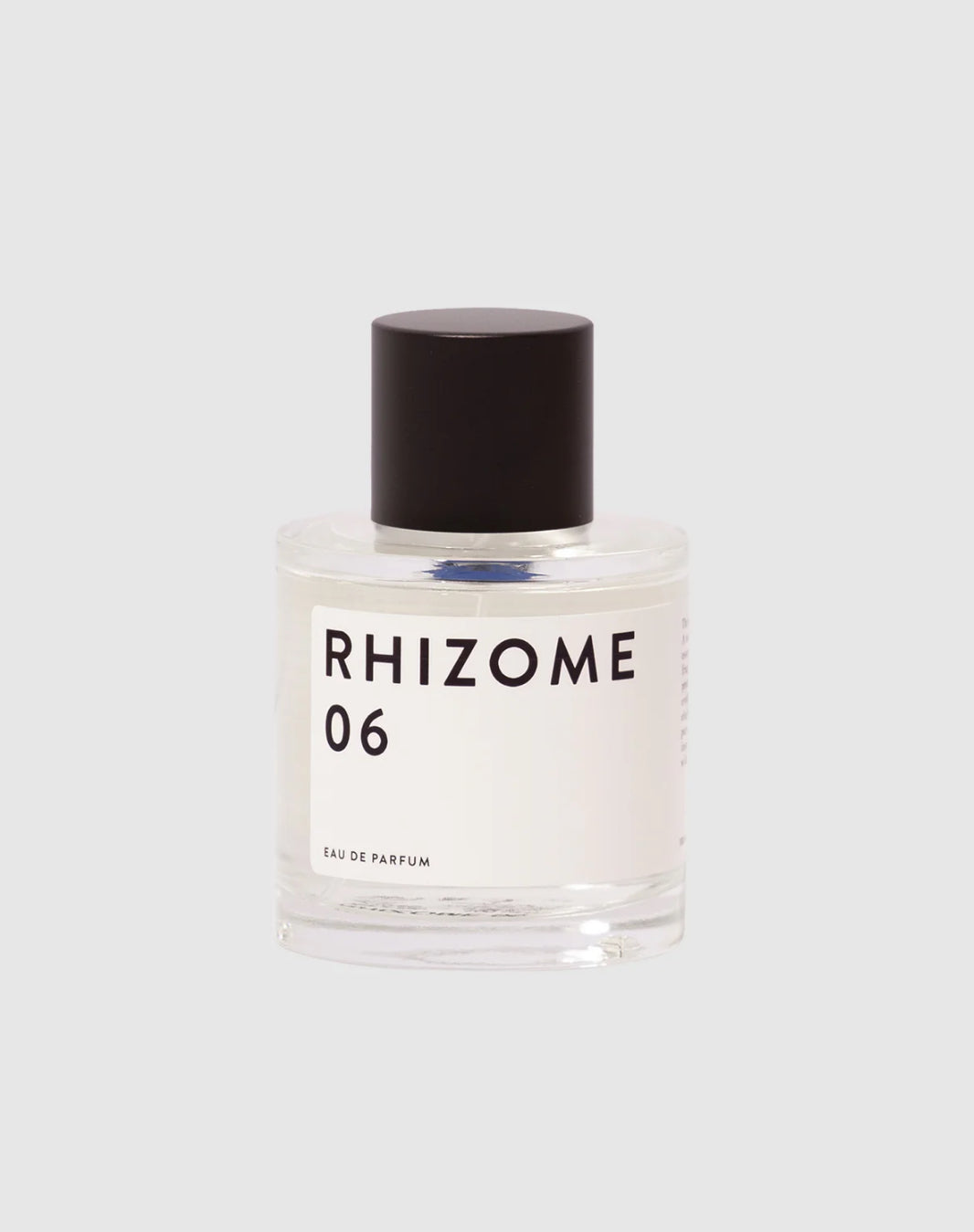 RHIZOME 06