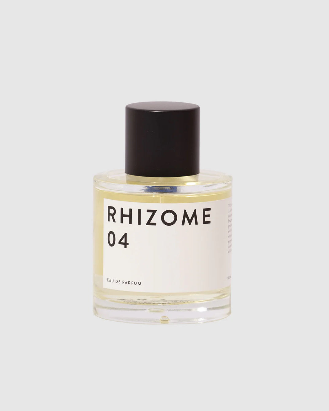 RHIZOME 04