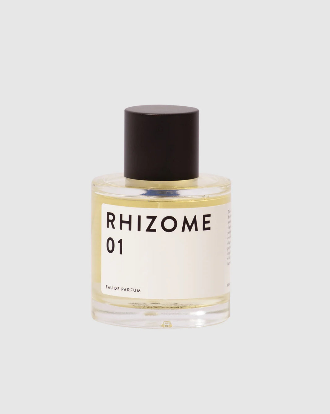 RHIZOME 01
