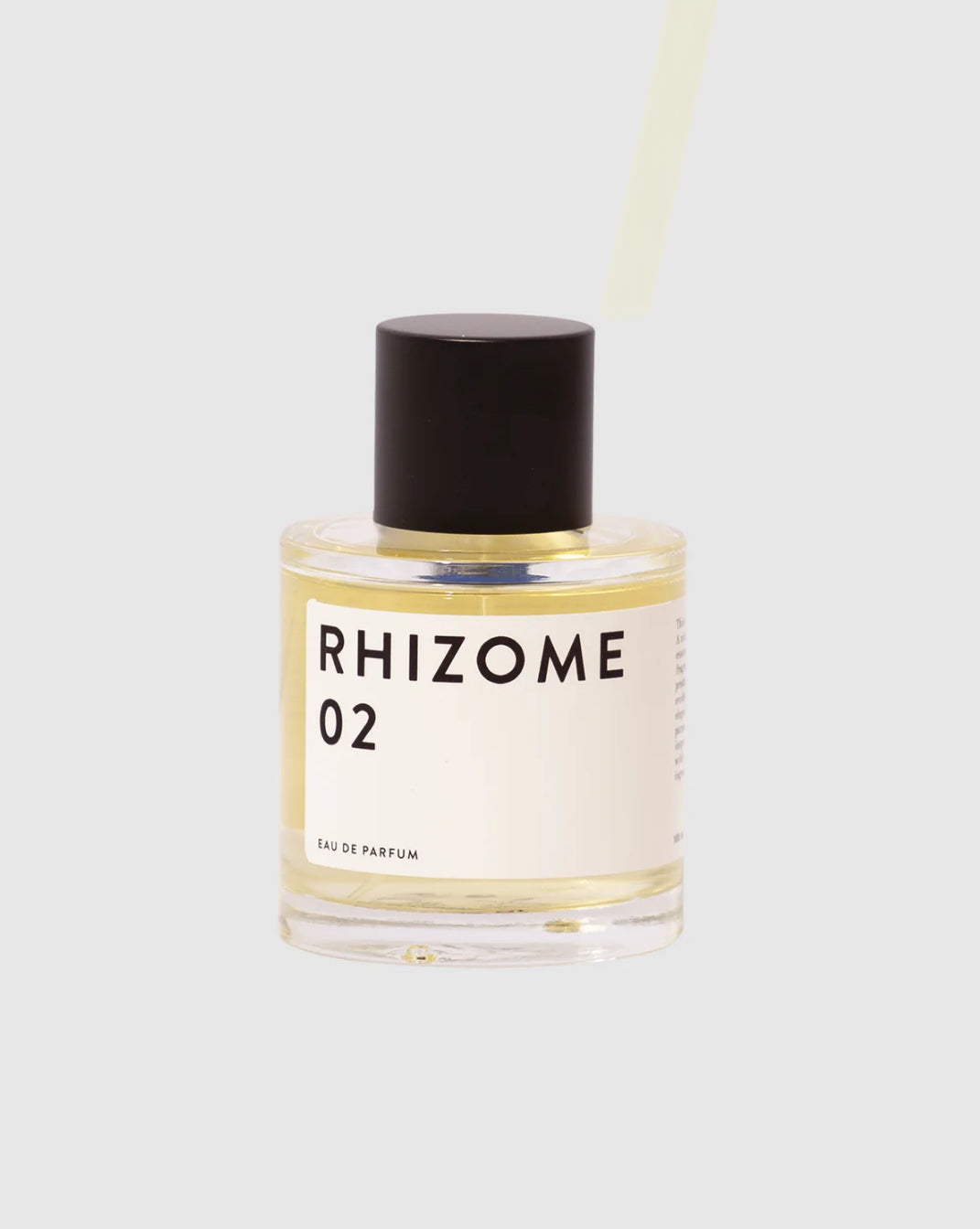 RHIZOME 02
