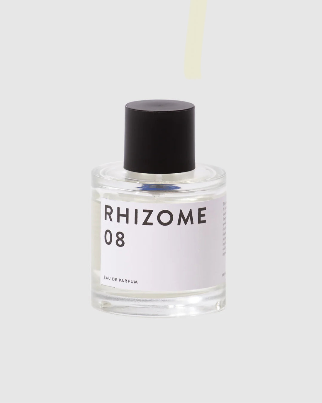 RHIZOME 08