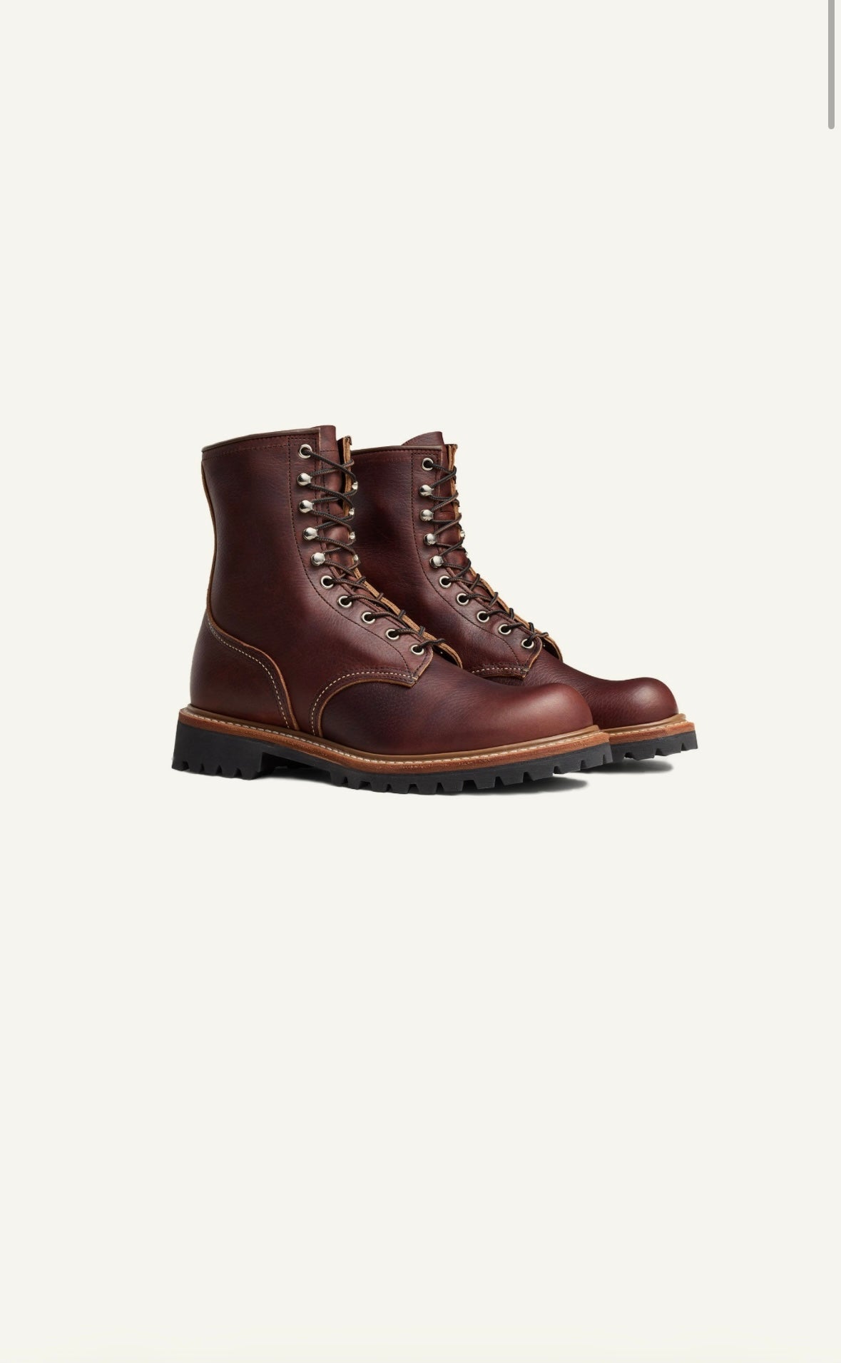 Logger 4585