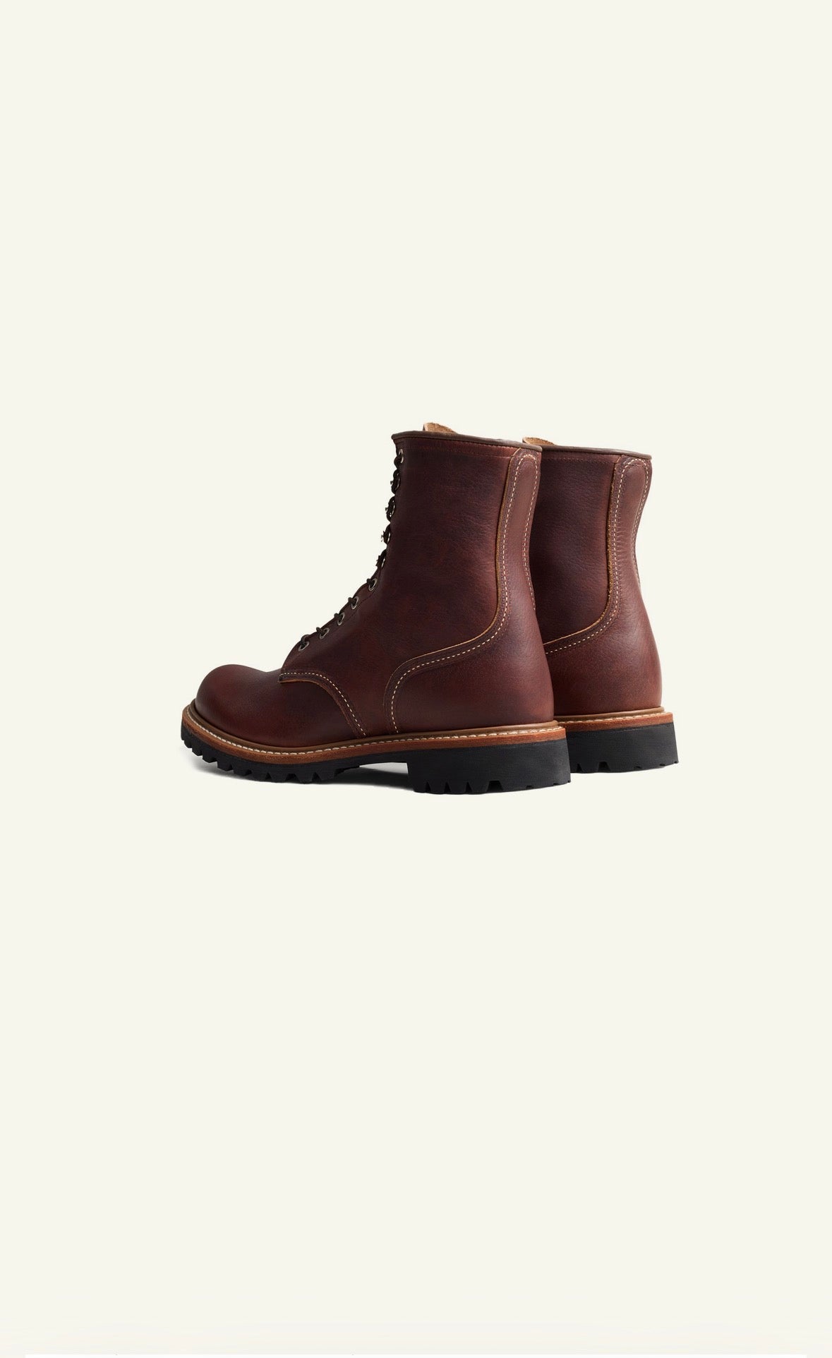 Logger 4585