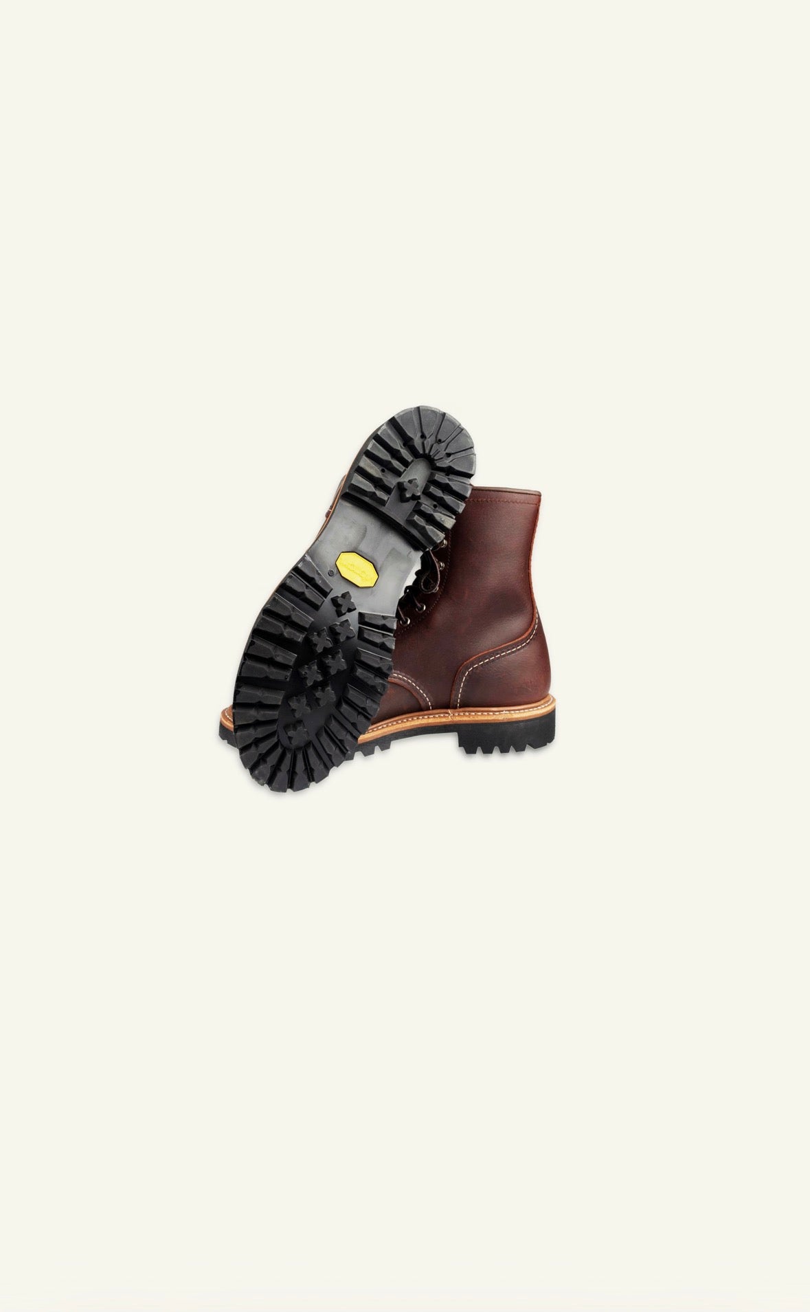 Logger 4585