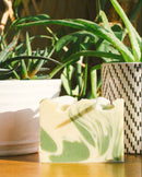 Plant Daddy Bar Soap