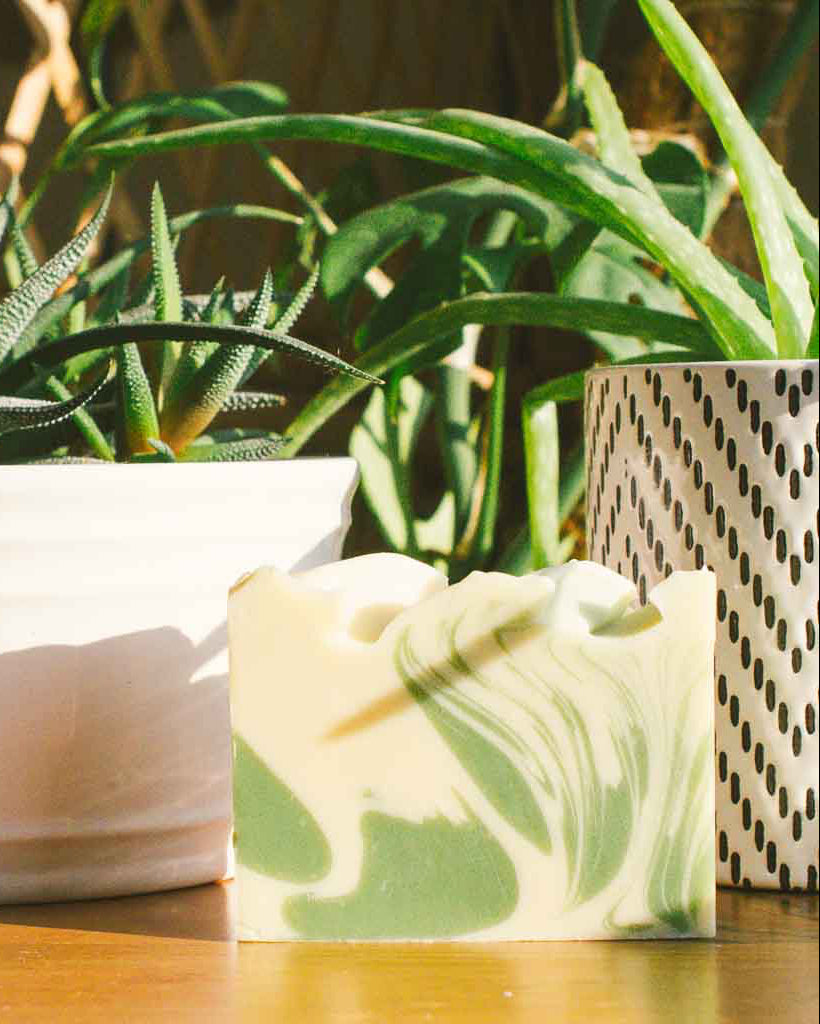 Plant Daddy Bar Soap