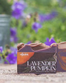 Lavender Pumpkin Bar Soap